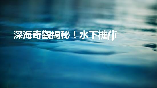 深海奇觀揭秘！水下機(jī)器人探索未知世界，你敢跟隨嗎？